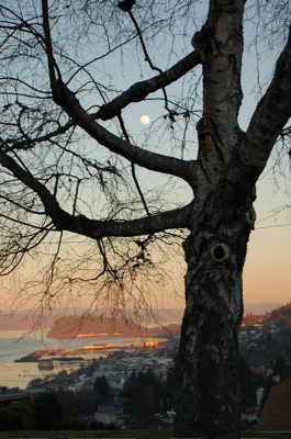 full moon rising1.jpg