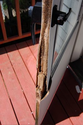 Doors3.jpg