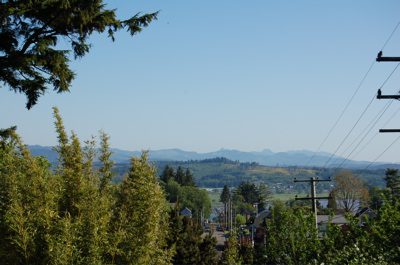 The Day Walk View.jpg