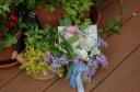 lilac-palooza6.jpg