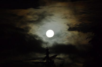 full moon 1.jpg