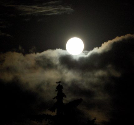 full moon 2.jpg