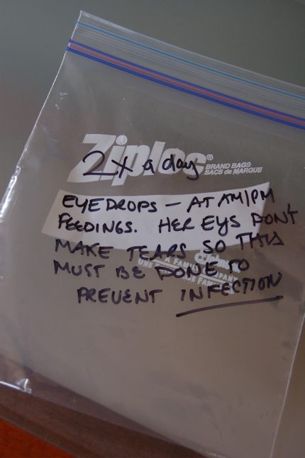 meds.jpg