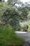 Youngs River Falls 61.jpg