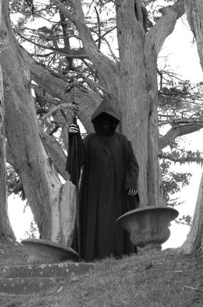 deathinthewoods.jpg