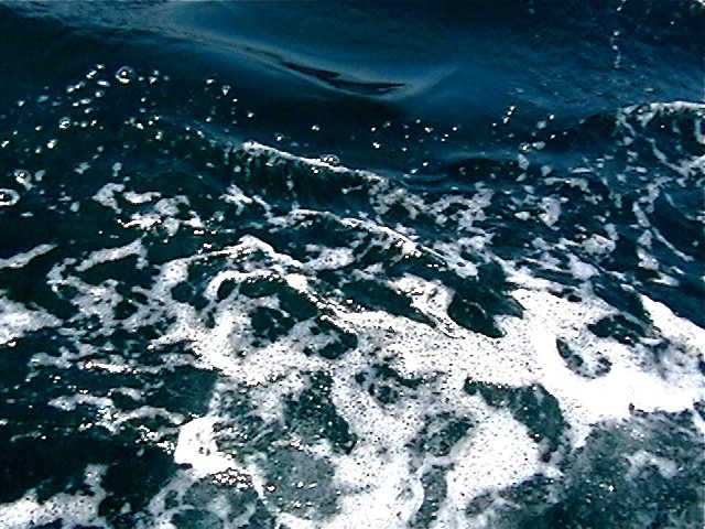 water.jpg