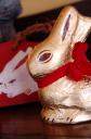 easterbunny.jpg