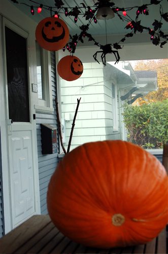 pumpkins1