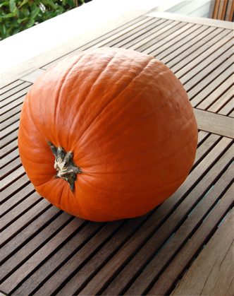 pumpkins2