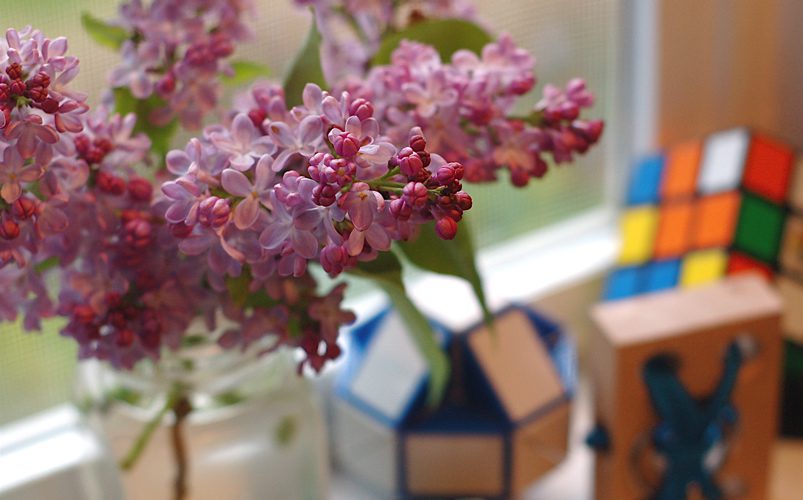 bwwindowlilacs