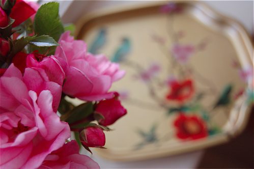 rosetrayblog rosetrayblog
