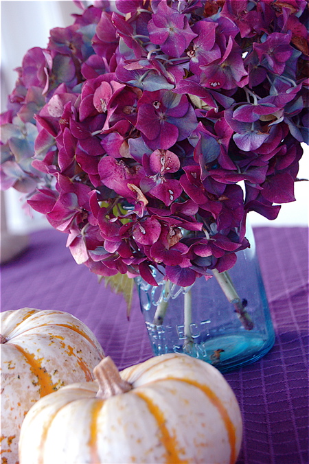 purplehydr
