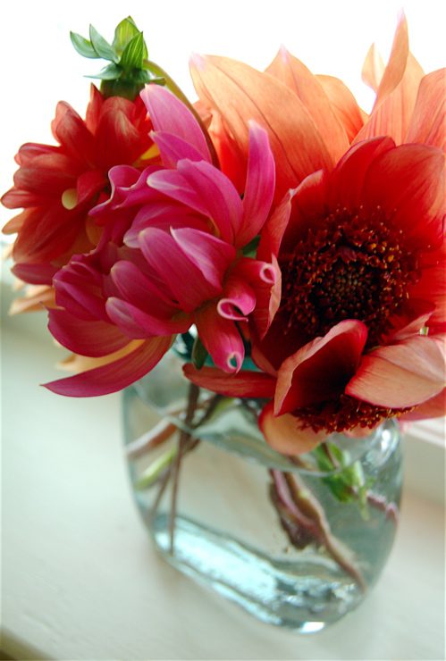 spicedahlias spicedahlias