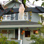 halloweendecor2010a