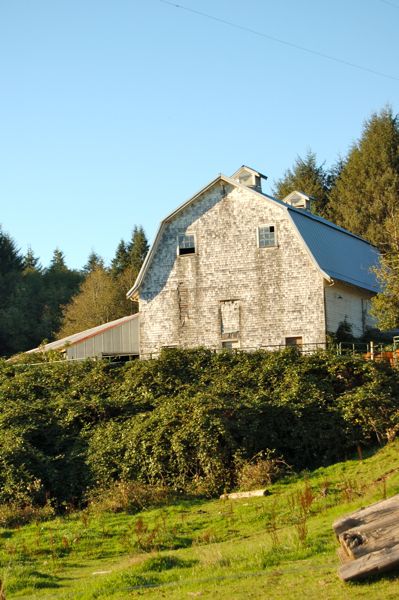 washingtonbarn