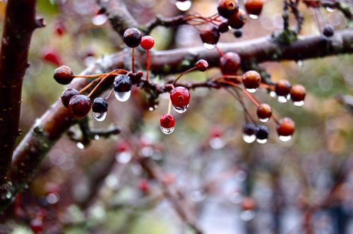 This Is November