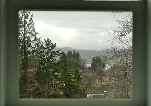 A Winter View
